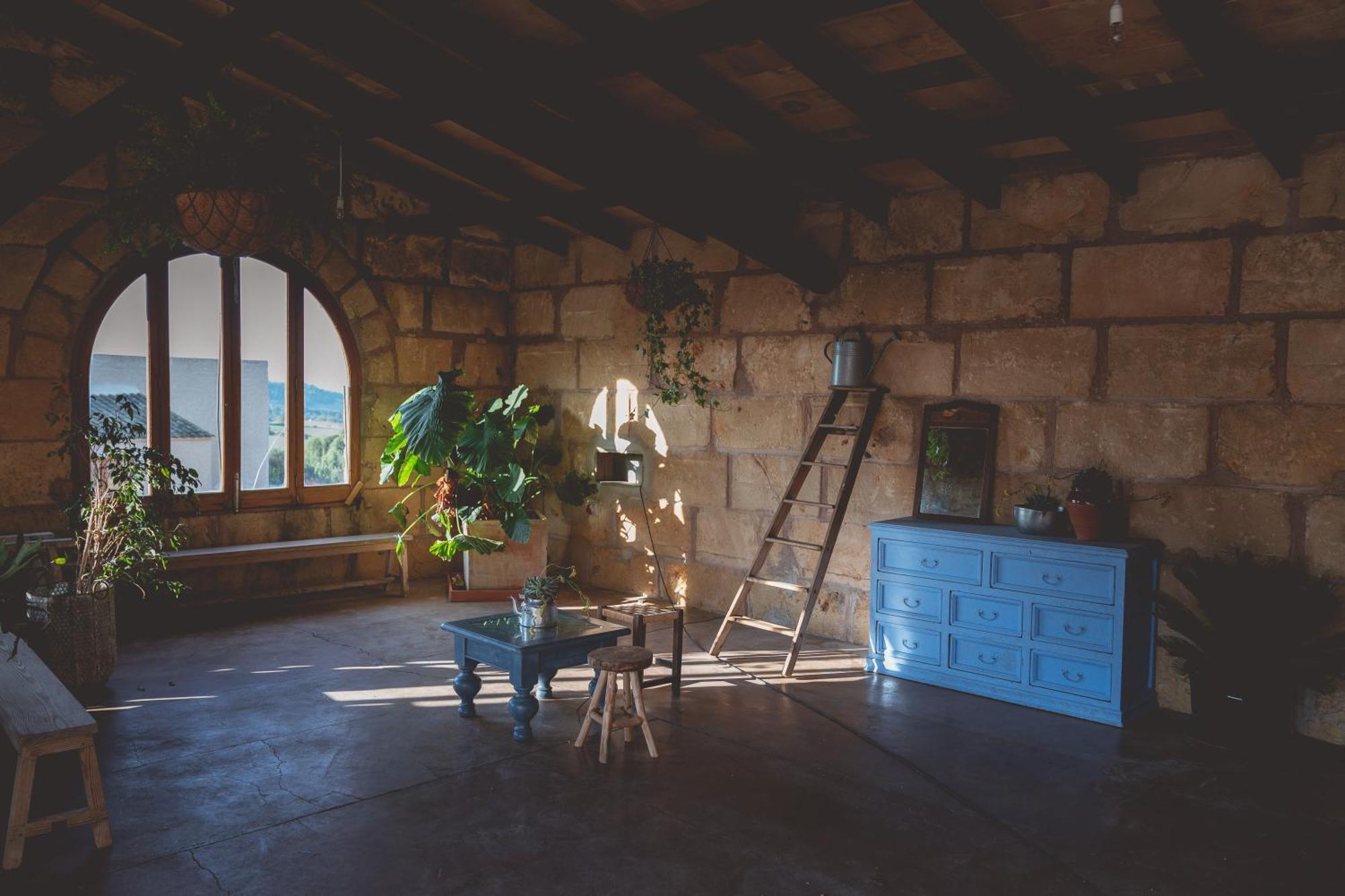 Son Mesquida Vell Manacor (Mallorca)