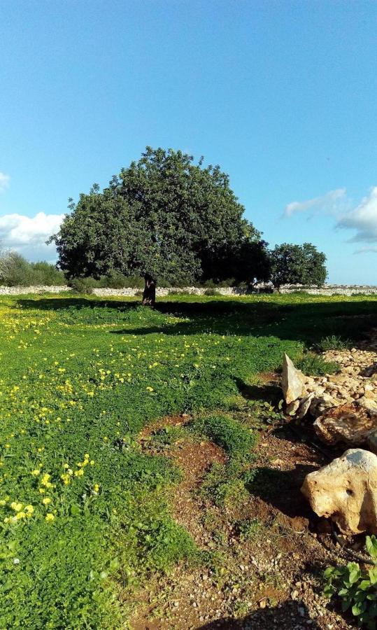 Finca Sa Sort Сasa de vacaciones