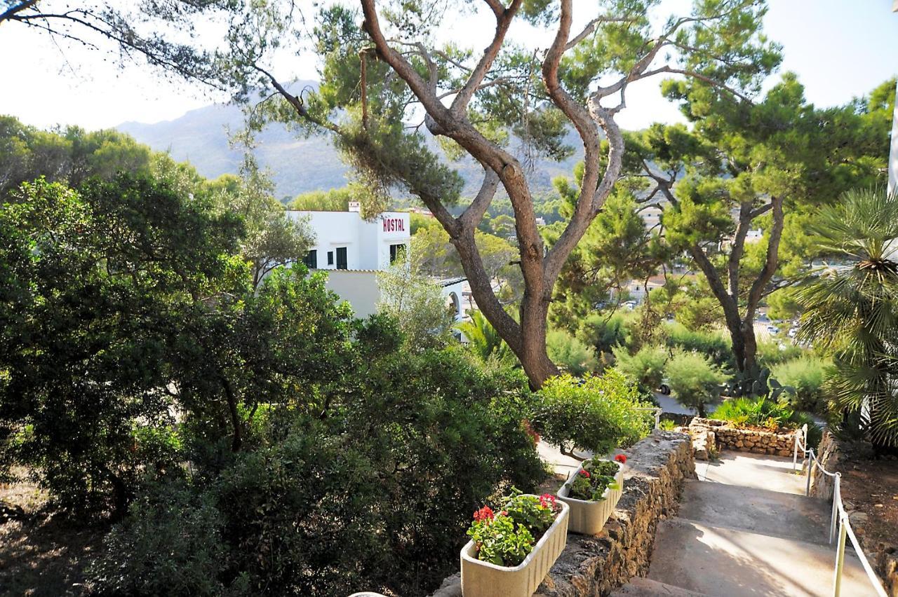 Pinos 2* Cala San Vicente (Mallorca)