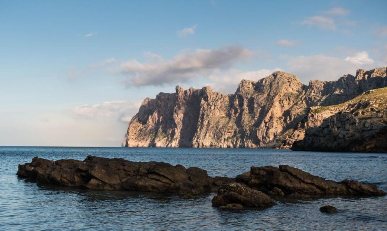 Botana 12 Villa Cala de Sant Vicenc