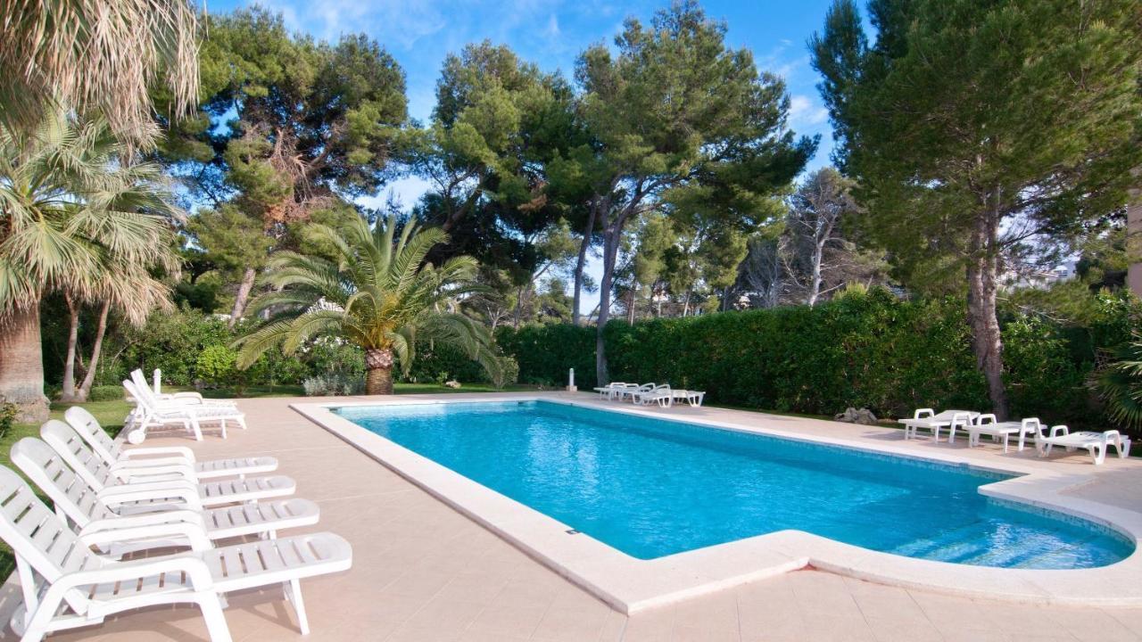 Drac Blanc 1-3 * Cala Ratjada (Mallorca)