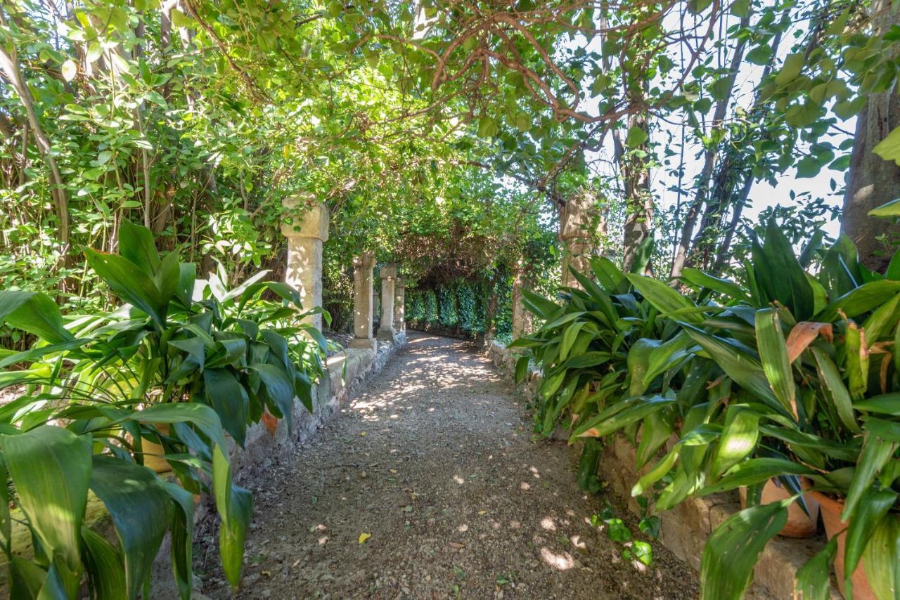 Son Vivot - Doble Estandar Guest house Inca (Mallorca)