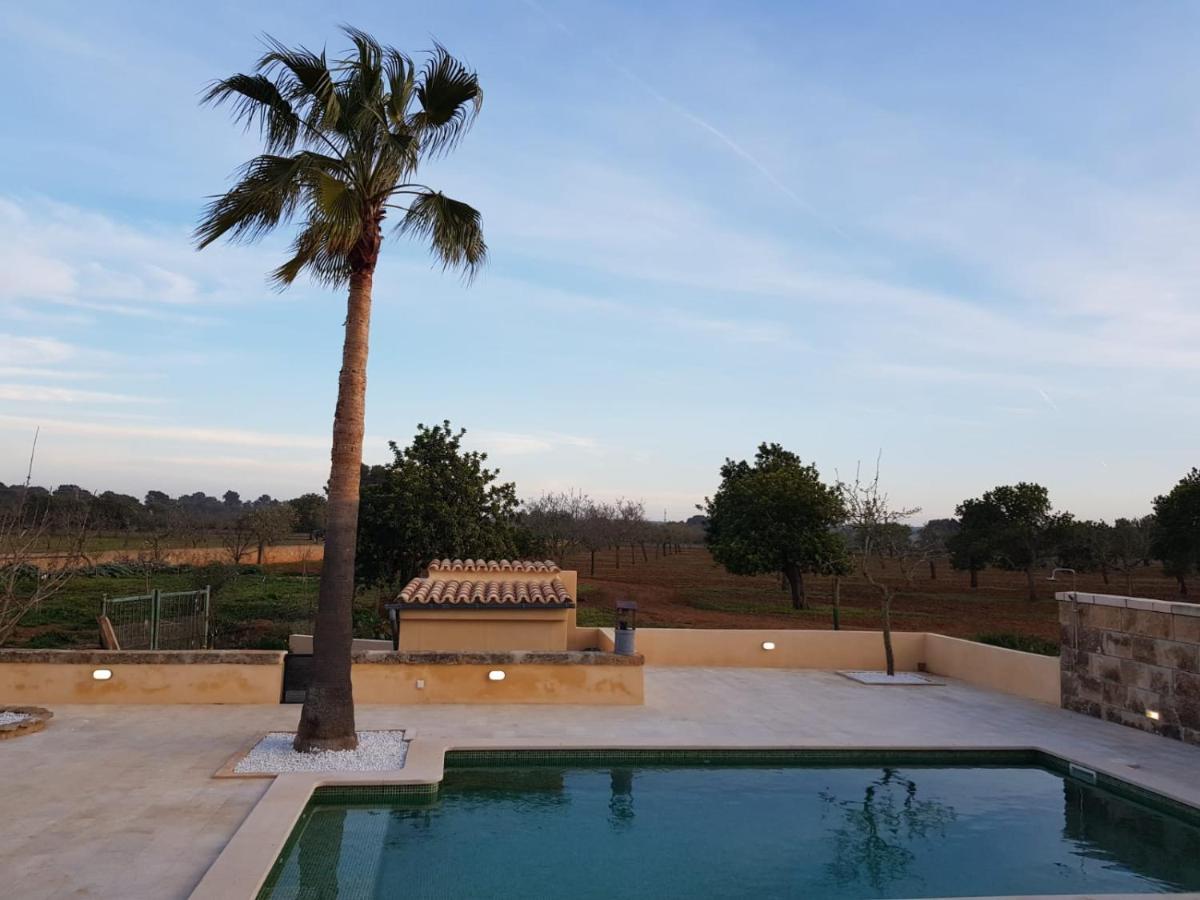 Dale Alegría A Tu Cuerpo * Llucmajor (Mallorca)
