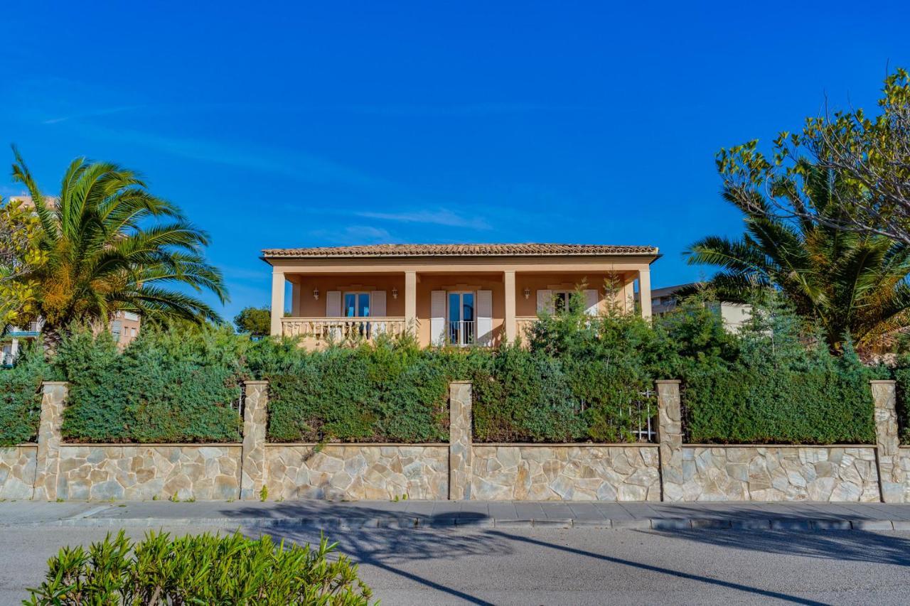 Puerto - Aran Berna Alcúdia