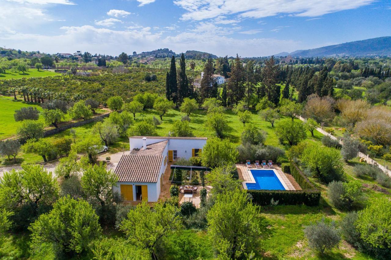 Ideal Mallorca - Flauta