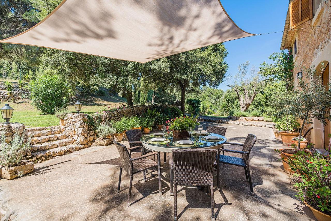 Picassa * Pollensa