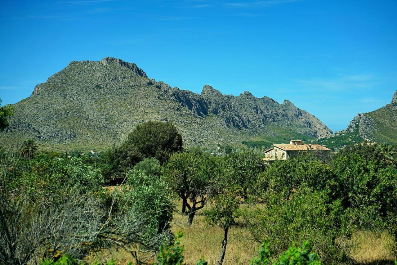Seguinot Villa Pollensa
