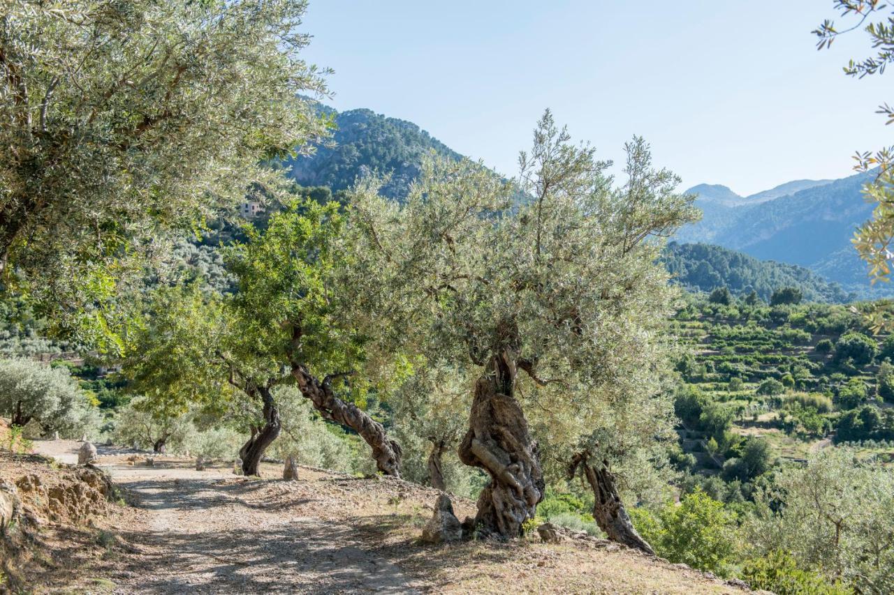 Raco De Villa Soller