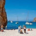 Mirador 4