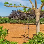 Son Sastre -Figuerola-