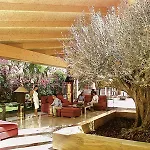 Hotel Palmira Cormoran