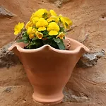 Rectoria 6