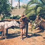 Finca Can Paulino