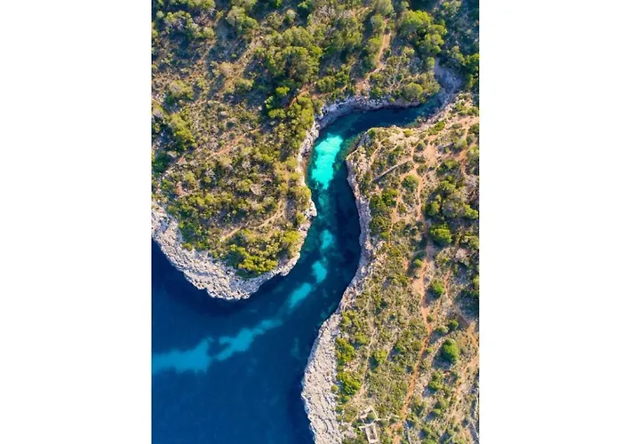 Mirador 4