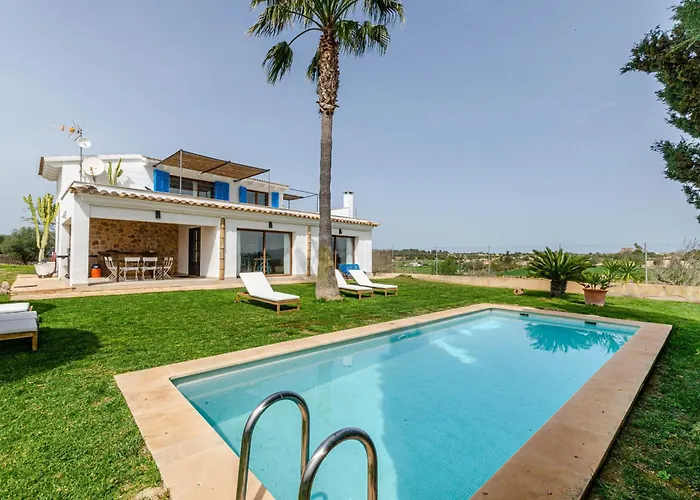 Yourhouse Carrera Plana