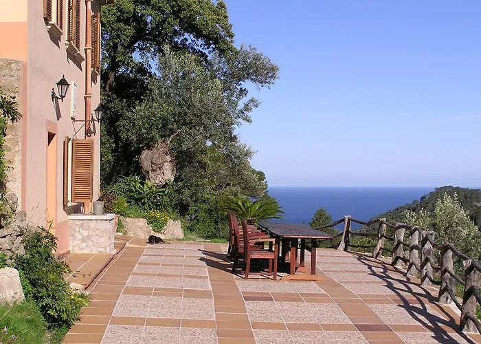 Agroturismo S\'Olivar