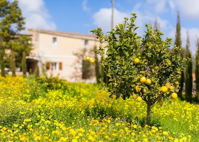 Finca Son Prohens