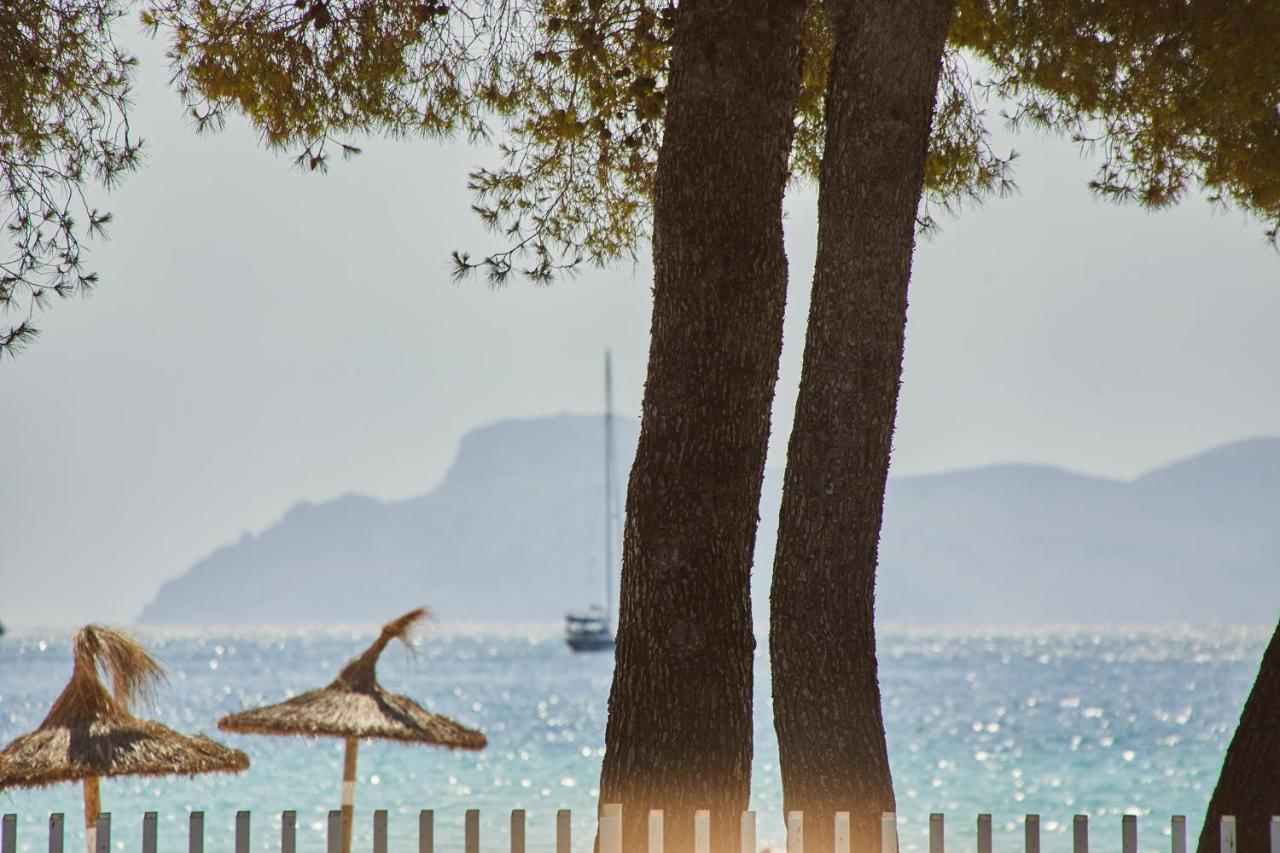 Sofia Alcudia 4* Puerto de Alcúdia