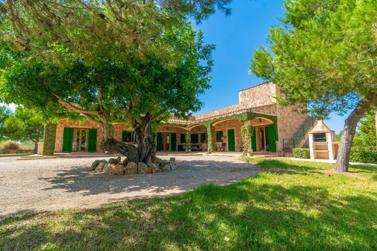 Villa Girasoles *