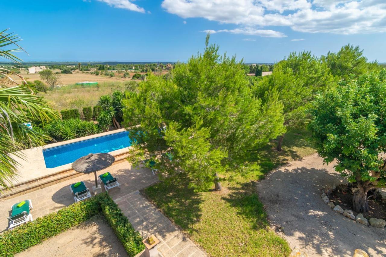 Villa Girasoles Campos (Mallorca)