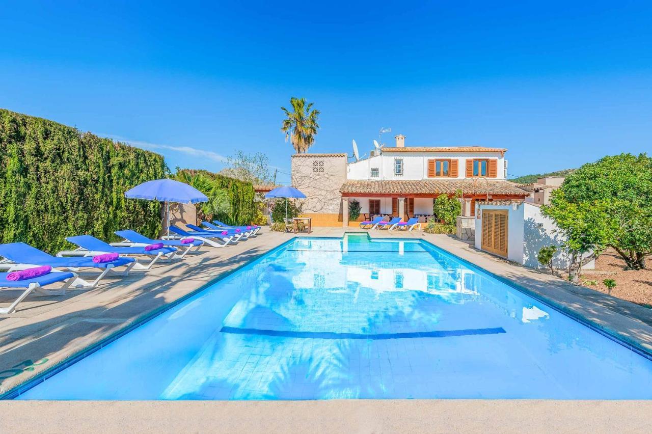 Palmera Villa *