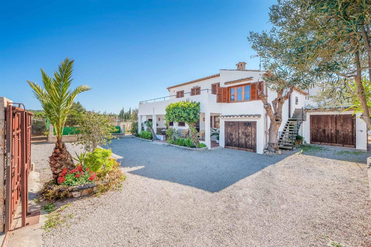 Palmera Villa *
