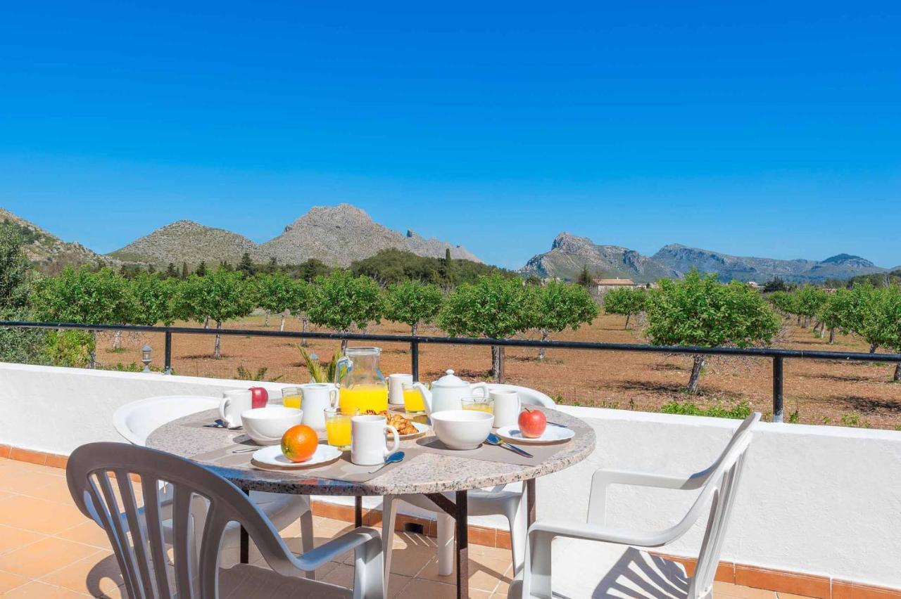 Villa Palmera