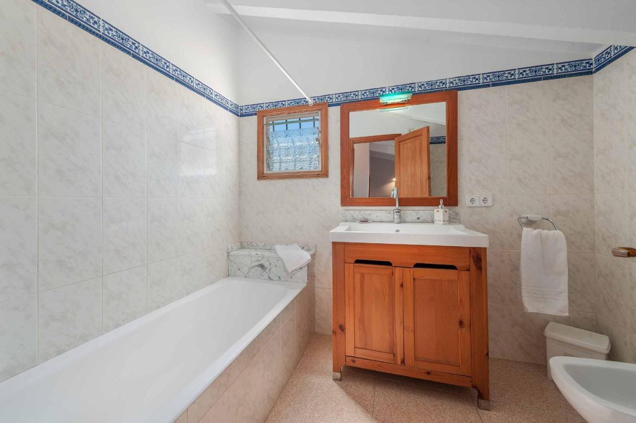 Palmera Villa Pollenca