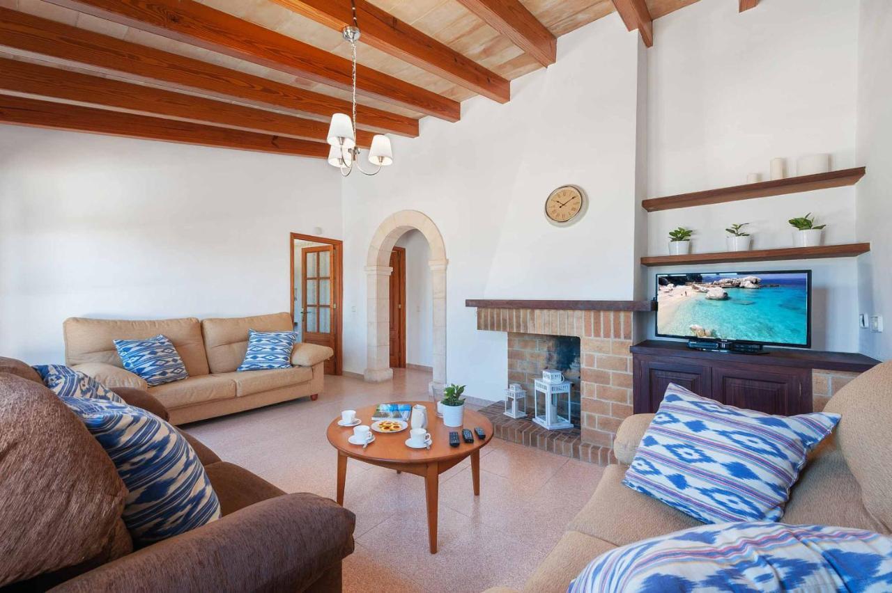 Palmera Villa Pollenca
