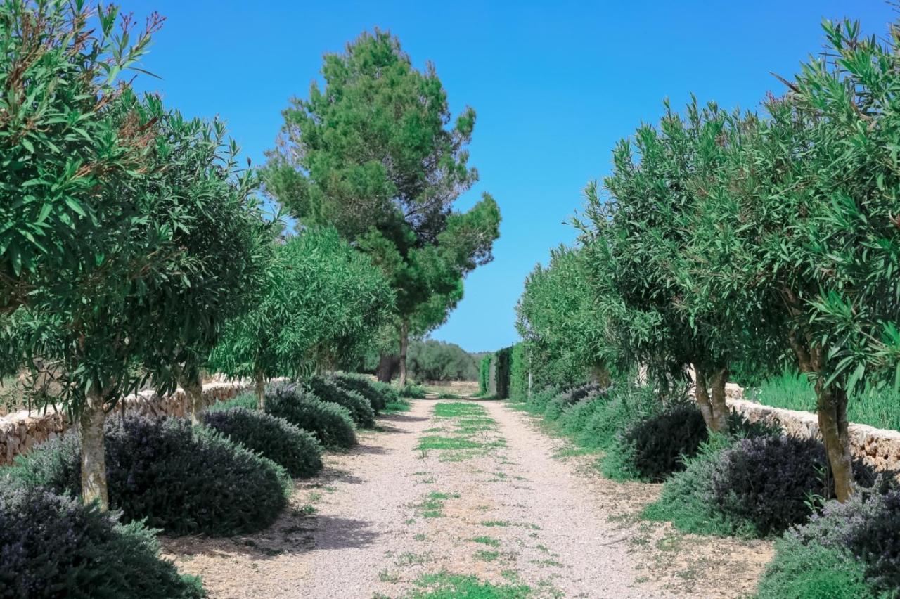 Family House Sa Vinya D'es Trenc Сasa de vacaciones Campos (Mallorca)