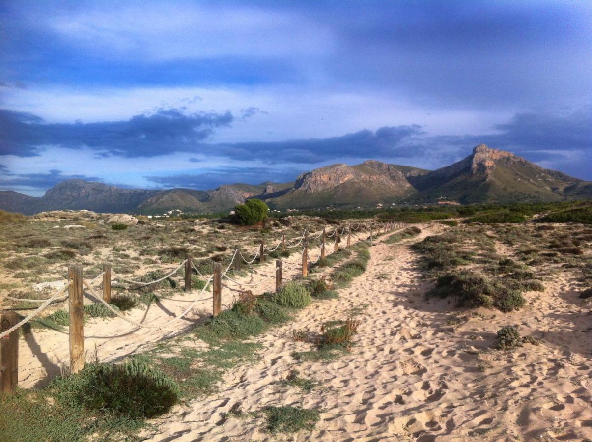 50m From The With A Gym, Son Serra De Marina, Mallorca