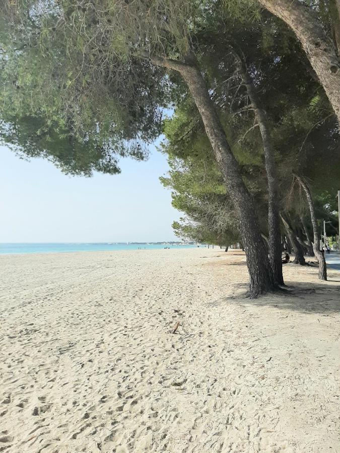 Minerva Apartamento Puerto de Alcúdia