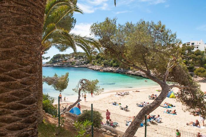 Apartment Playa Dor 14