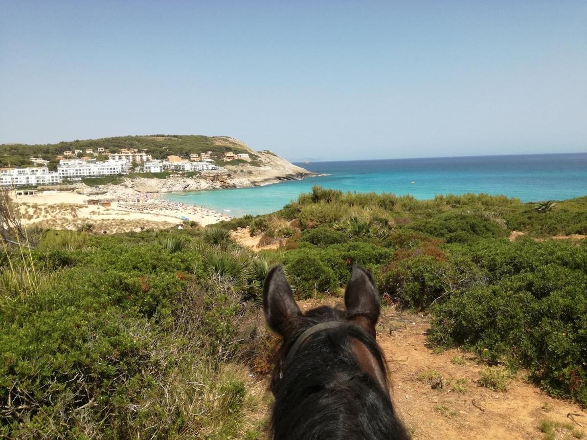 Rosamar Holidays Apartments Apartment Cala Ratjada (Mallorca)