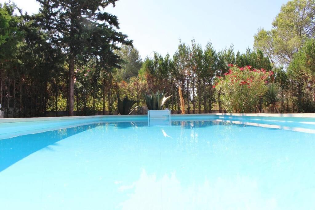 Alomar Villa