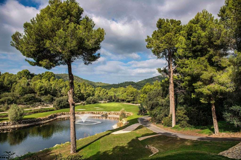 Steigenberger And 5* Camp De Mar
