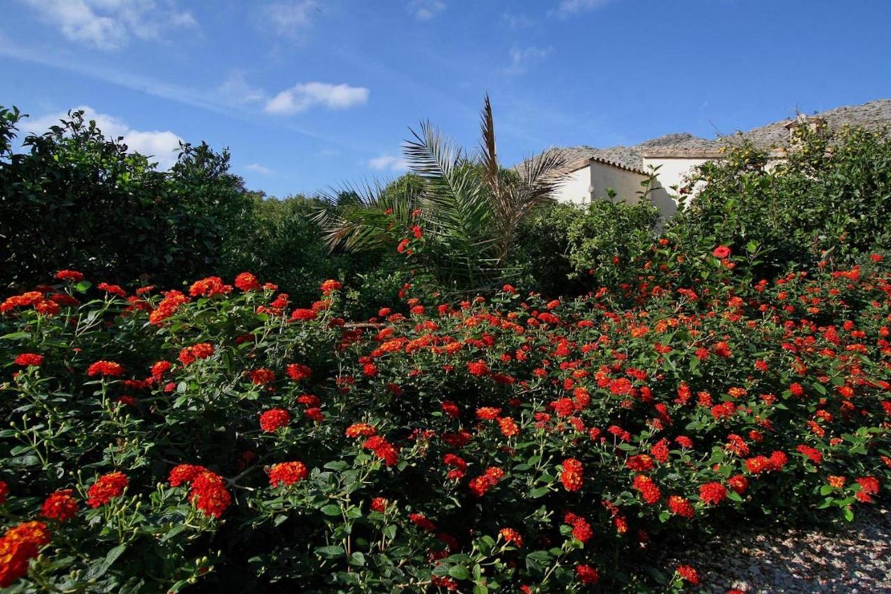 Villa Rosa
