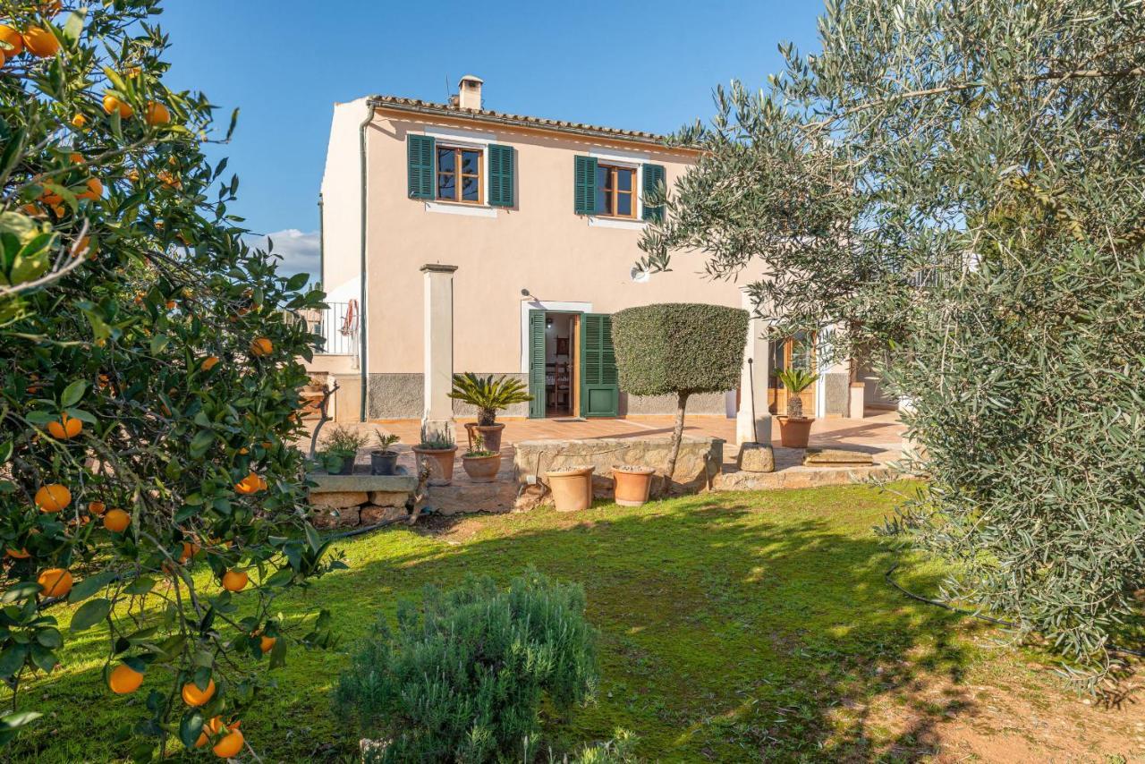 Villa Rafelino, Pool&relax *