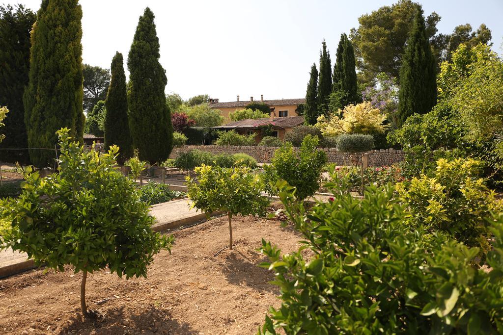 Oliver Moragues Grandhouse & Vineyard *