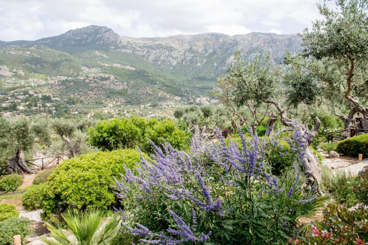 Farm stay Sa Pedrissa *