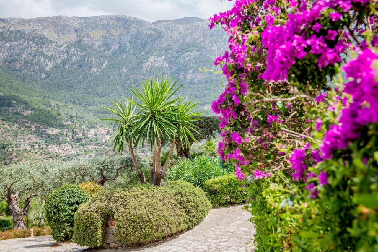 Farm stay Sa Pedrissa *