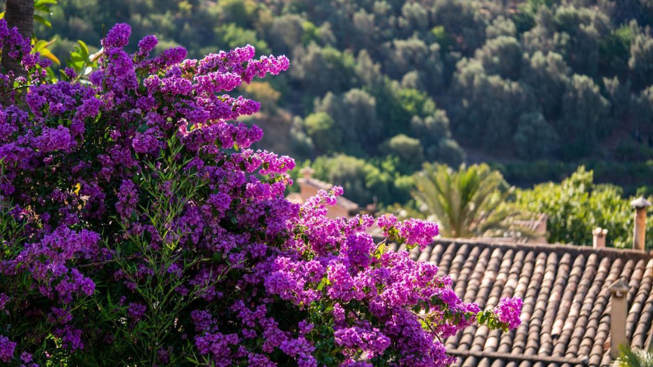 Verdera (adults Only) Hotel 4*