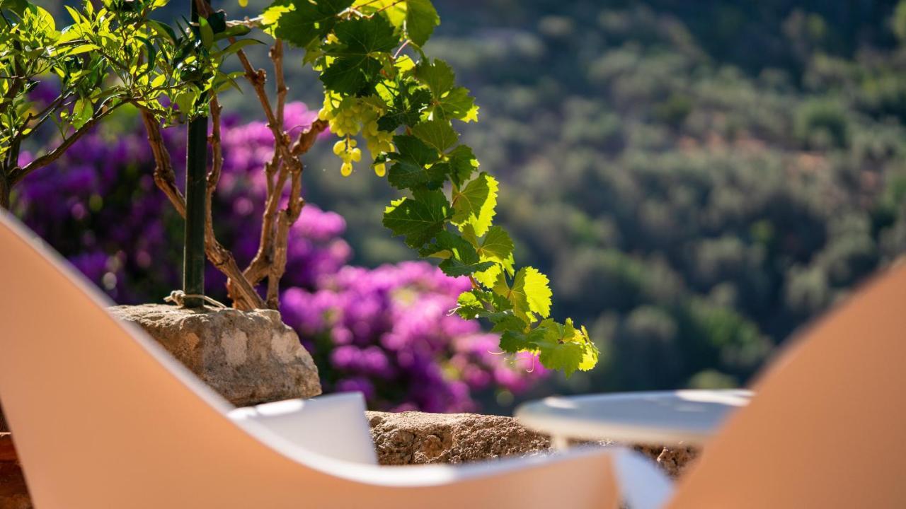 Verdera (adults Only) Hotel