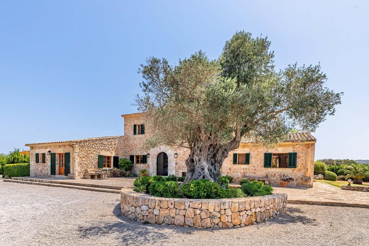 Paroya Villa *