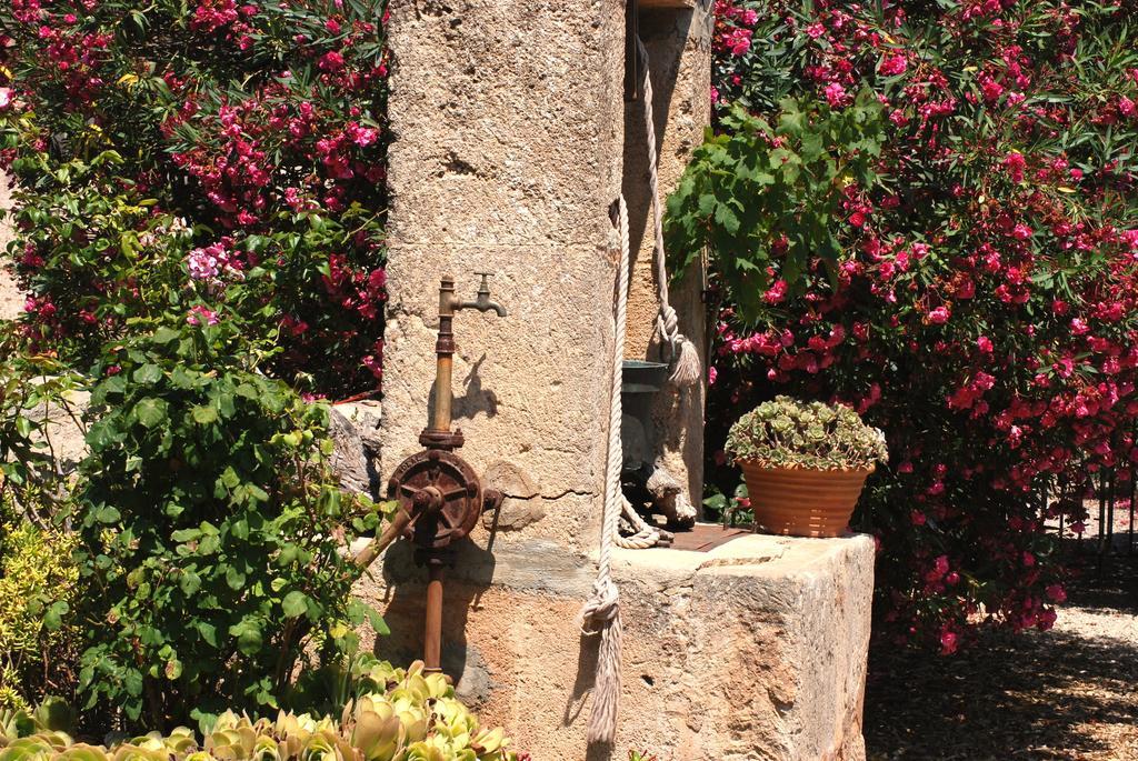 Paulino Llucmajor (Mallorca)