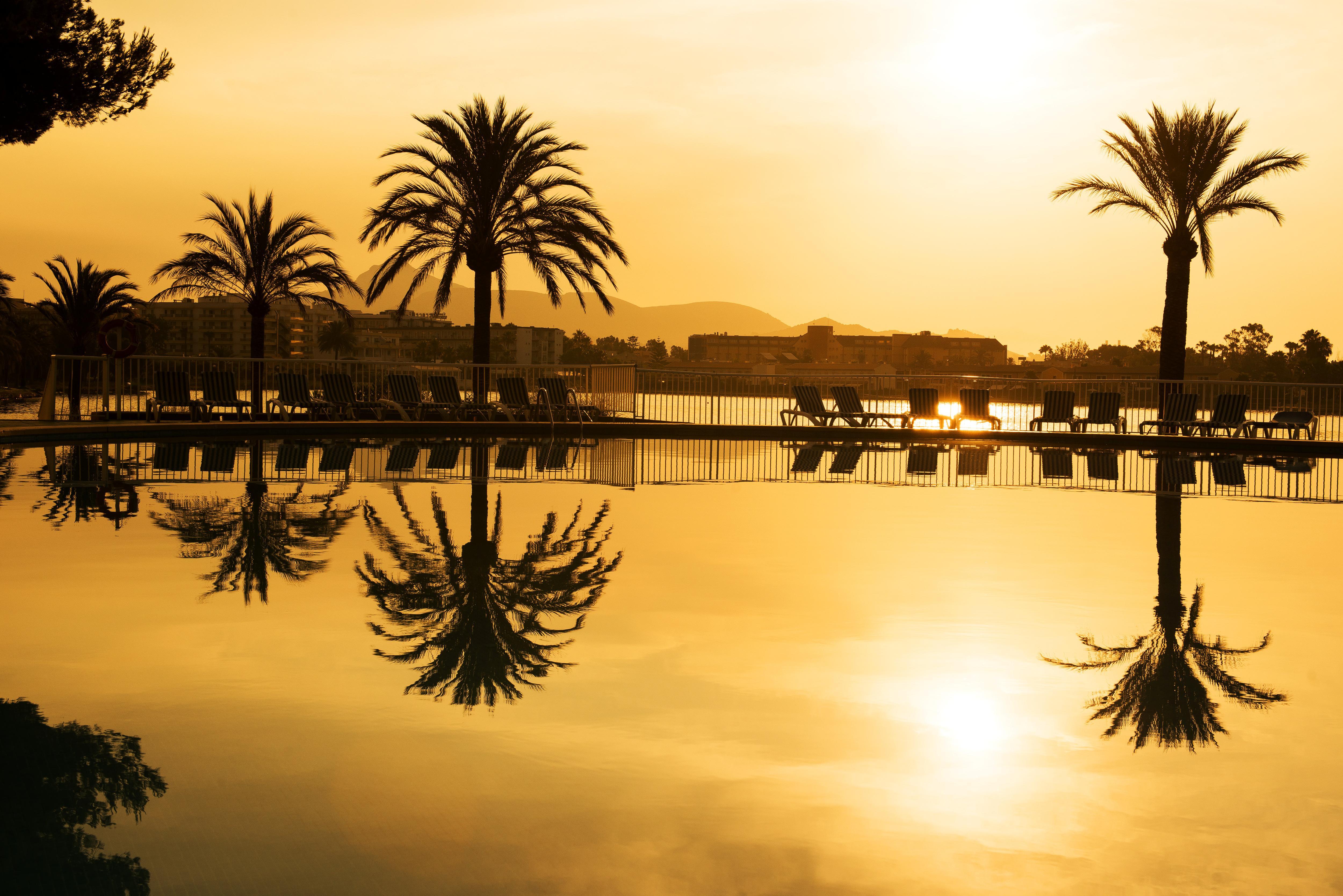 Bellevue Club Apartahotel Puerto de Alcúdia
