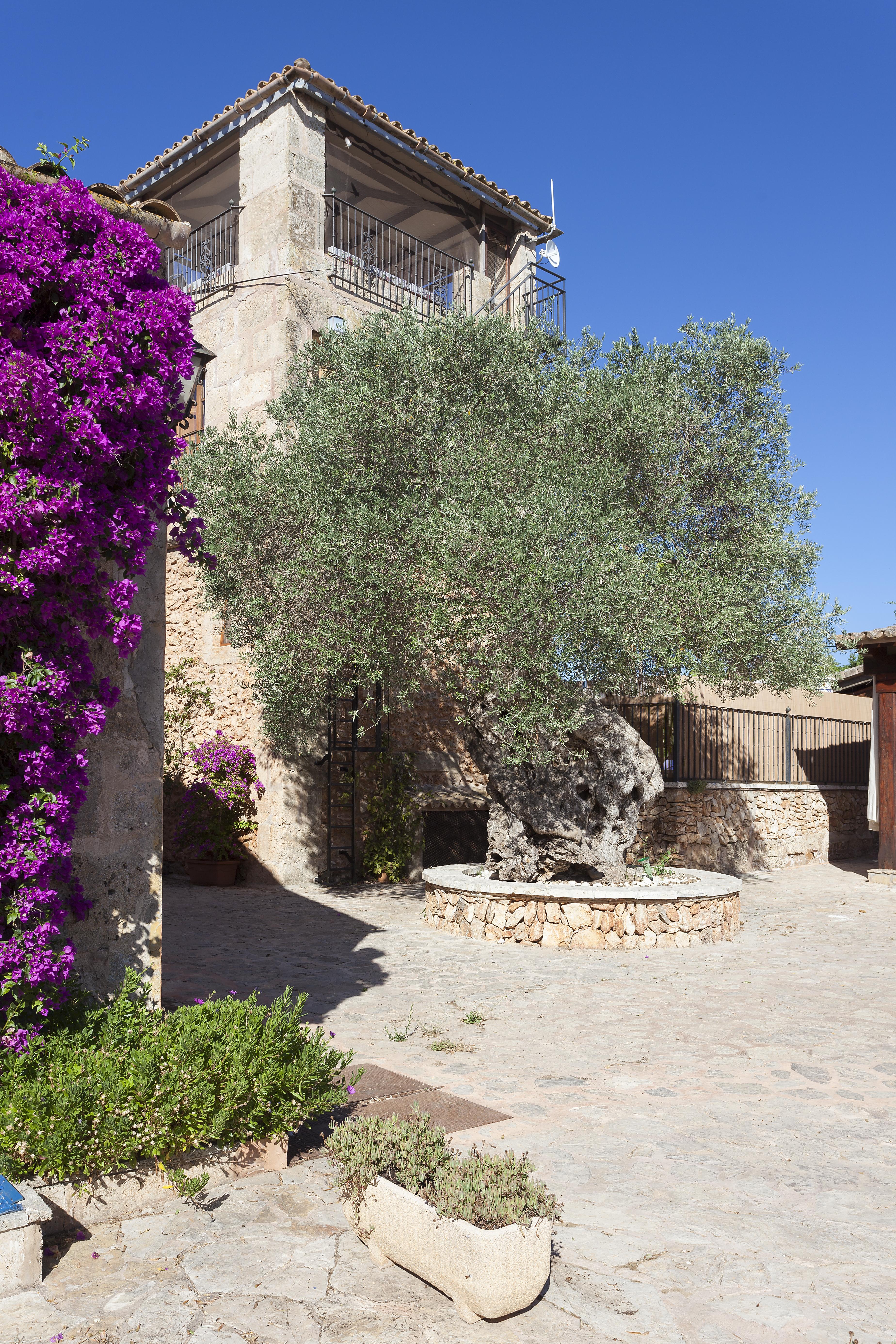 Agroturismo Es Revellar Art - Adults Only