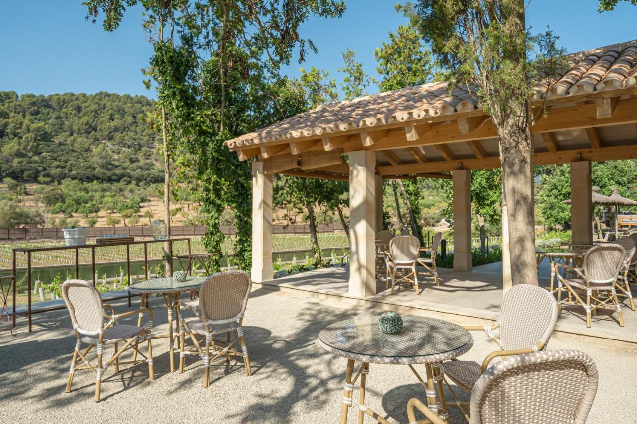 Rondaia, A Winery & Fincahotel-agroturismo In Tramuntana Esporles