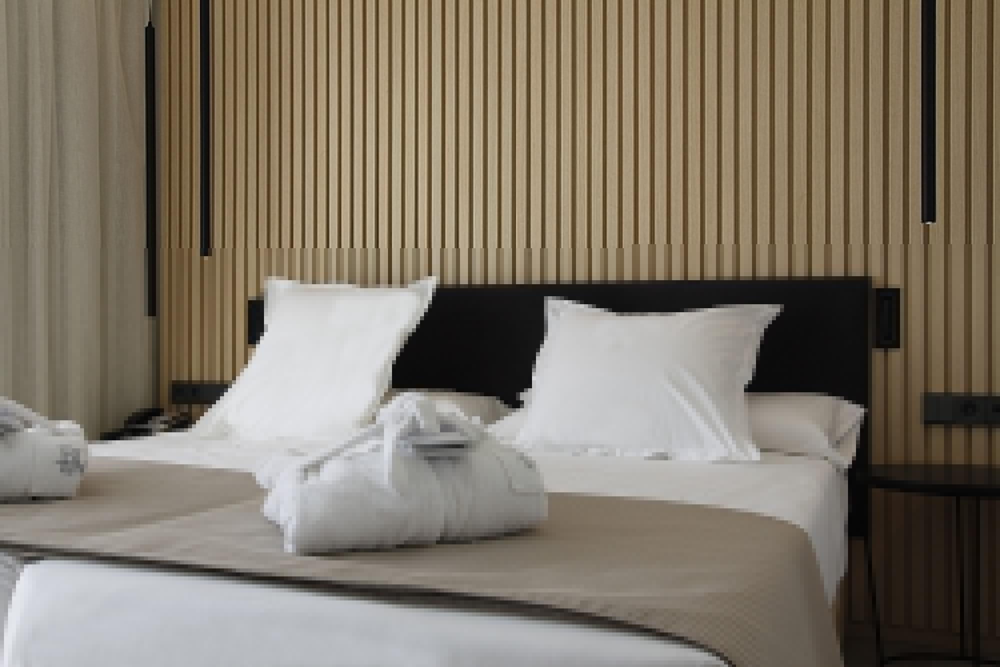 Hotel Bg Caballero