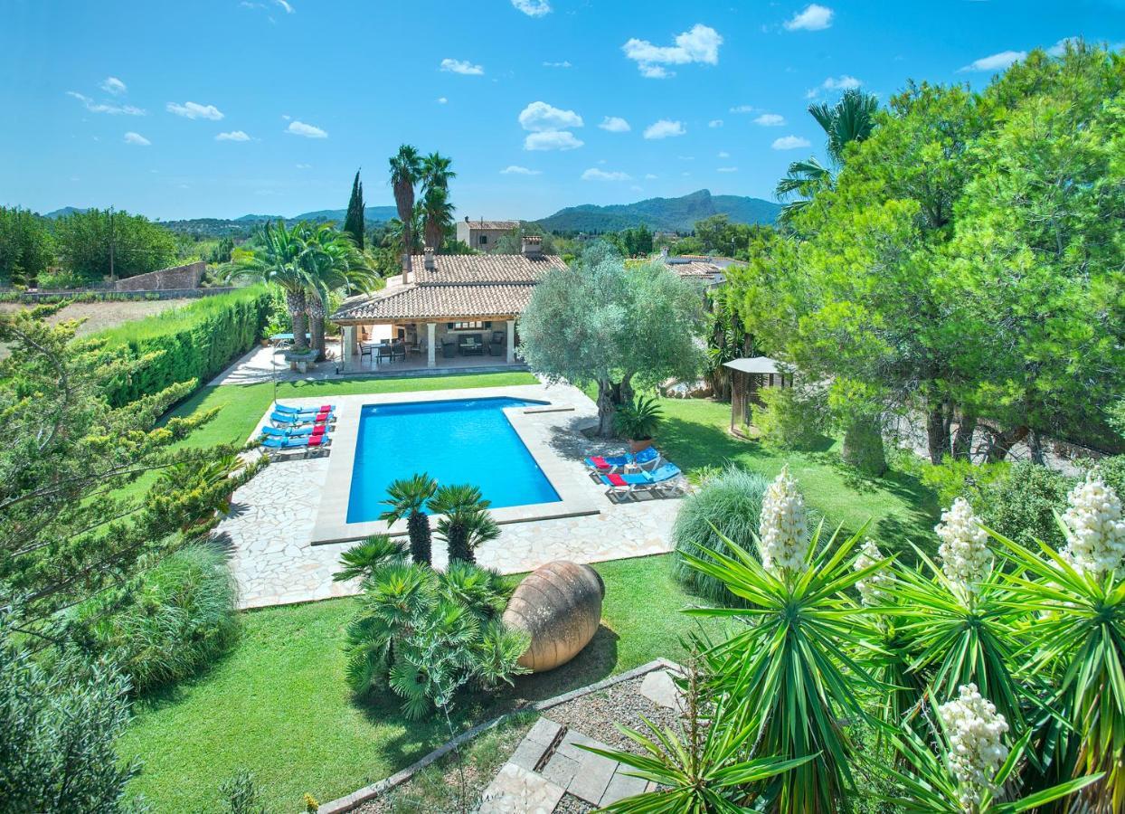 Owl Pou - Luxury Holidays In Royal Gardens Villa *